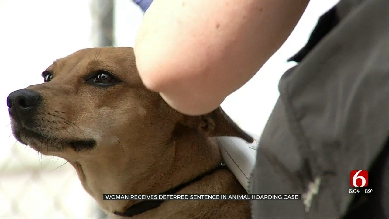 Tulsa Dog Trainer Gets Probation In Animal Cruelty Case