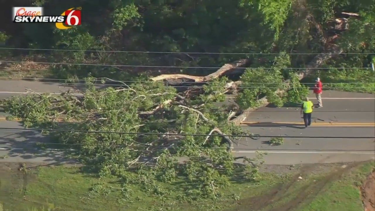 WEB EXTRA: Osage SkyNews 6 HD Video Of Fallen Tree