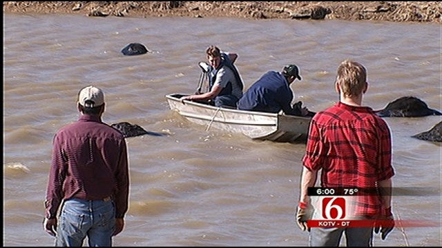 Warmer Weather, Thin Ice Prove Fatal To Oklahoma Cattle