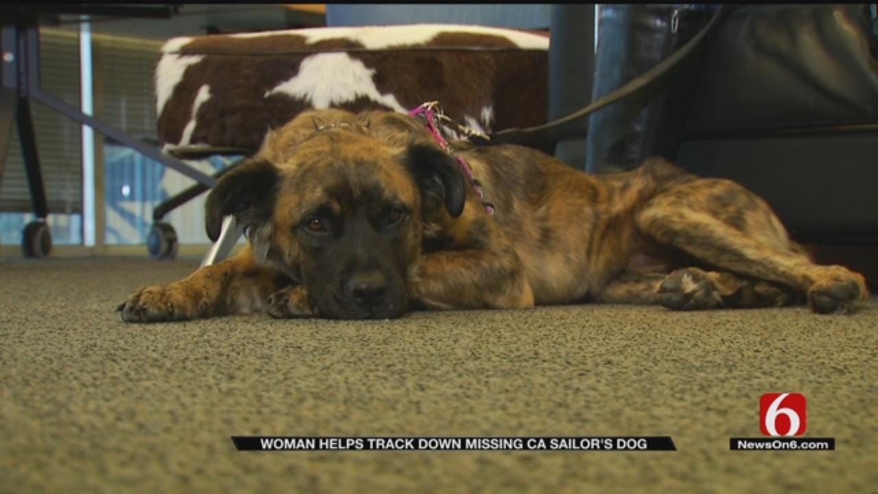 'Best Gift Ever:' Sailor's Service Dog Found Safe In Catoosa Area