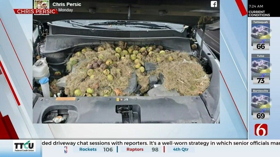 Woman Smells Something Burning While Driving, Finds A Nutty Stash