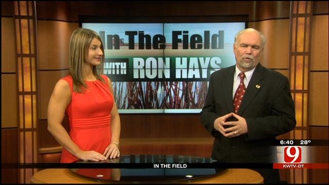 In The Field With Ron Hays: Leeanna Covington
