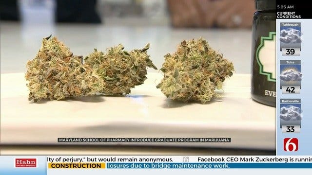 WATCH: Some Universities Offering Medical Marijuana Courses