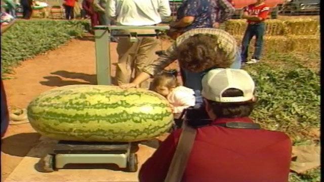 From The KOTV Vault: Bixby Farm Produces World Record Watermelon