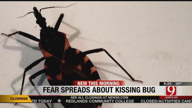 Should We Fear The 'Kissing Bug?'