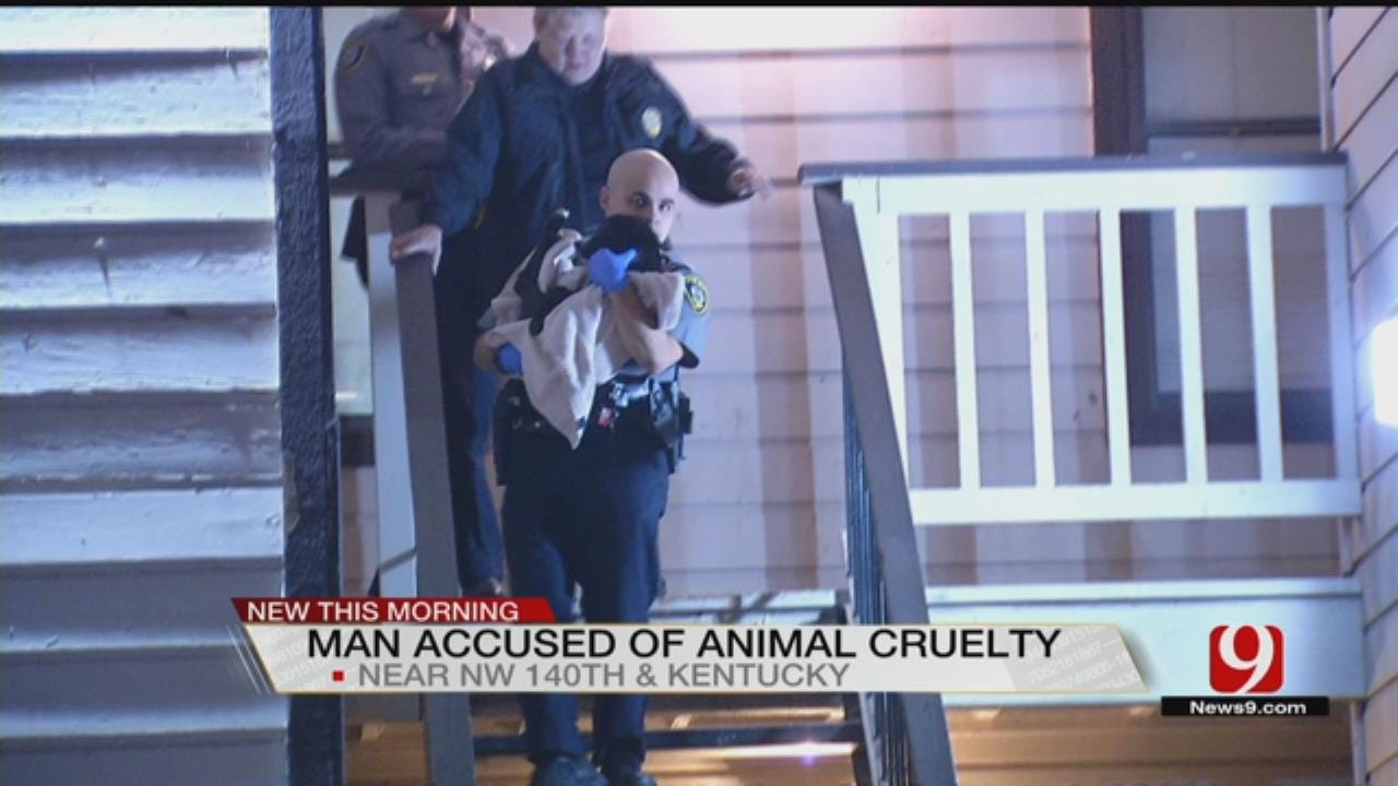 Oklahoma City Man Arrested For Severe Animal Cruelty
