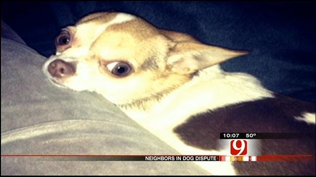 OKC Woman Says Neighbor Gave Her Dog To Friend, Asks For Police's Help