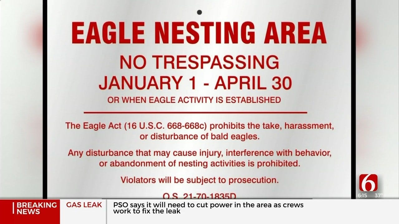 GDRA Warn People Not To Disturb Bald Eagle Nest At Grand Lake