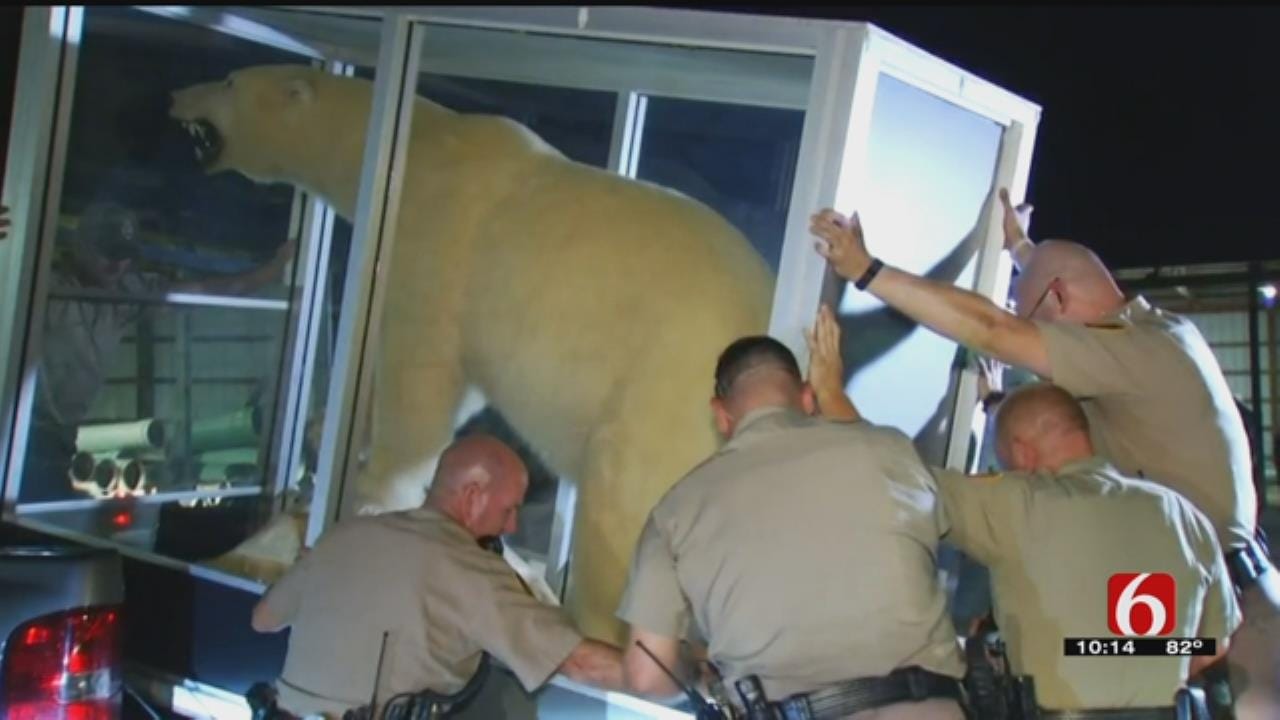 Game Wardens Confiscate Stuffed Polar Bear At Jones Airport