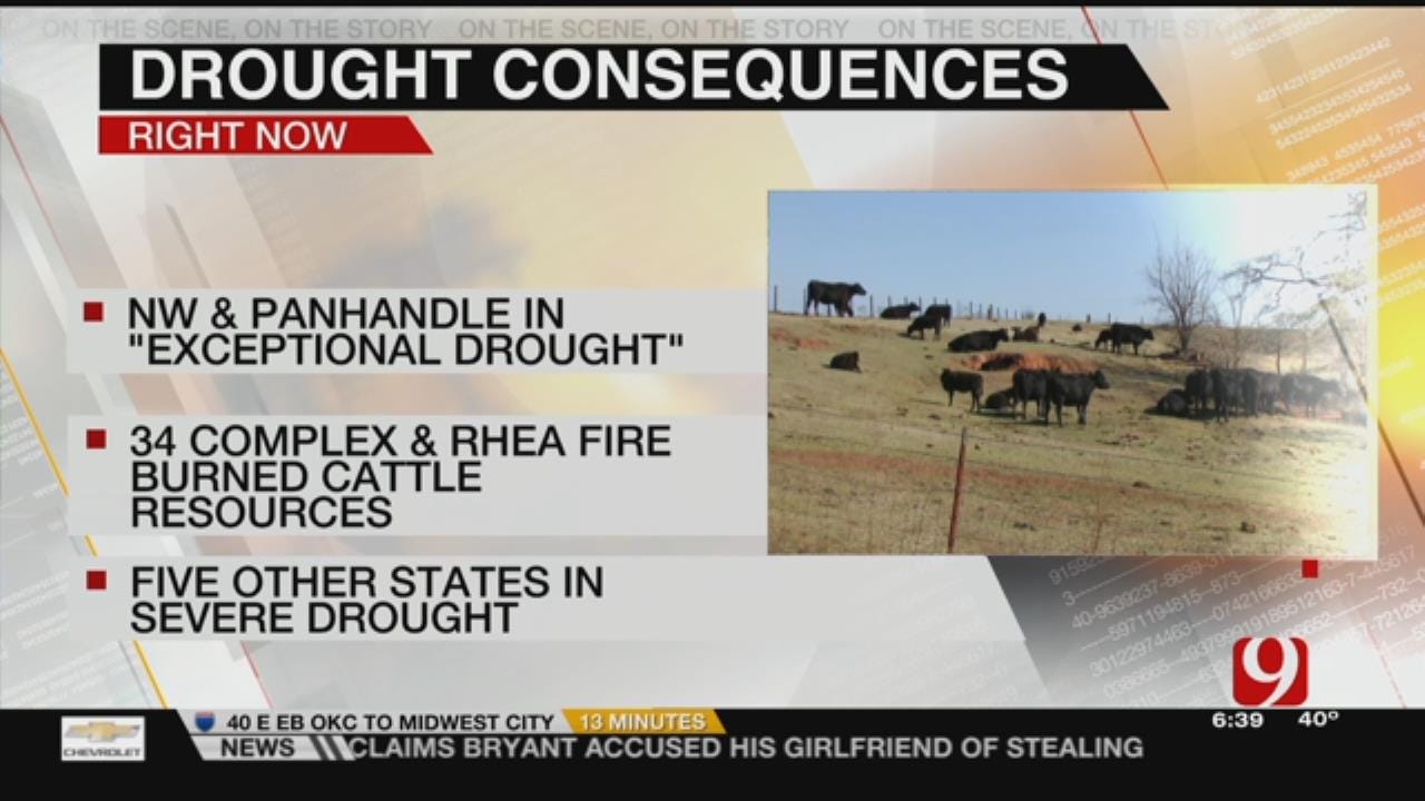 Farmers Struggle To Feed Cattle After Fires