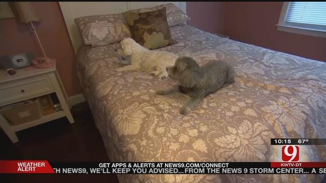 Study Shows Benefits To Sleeping With Pets