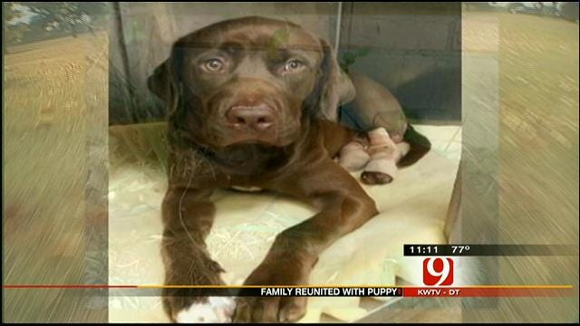 OKC Animal Rescue Group Helps Reunite Injured Dog With Family