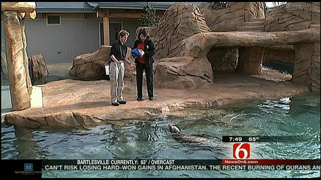 Wild Wednesday: New Sea Lion Exhibit