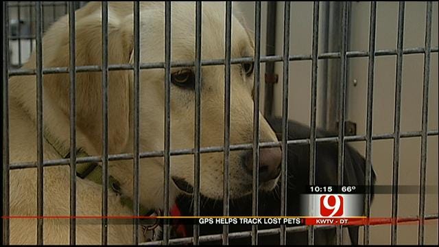 GPS Devices May Help Track Down Lost Oklahoma Pets