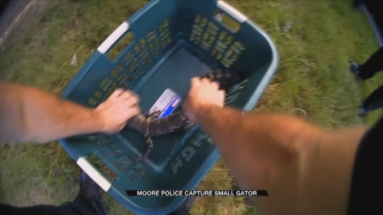 Body Camera Video Show Police Respond To Reported Lurking Gator