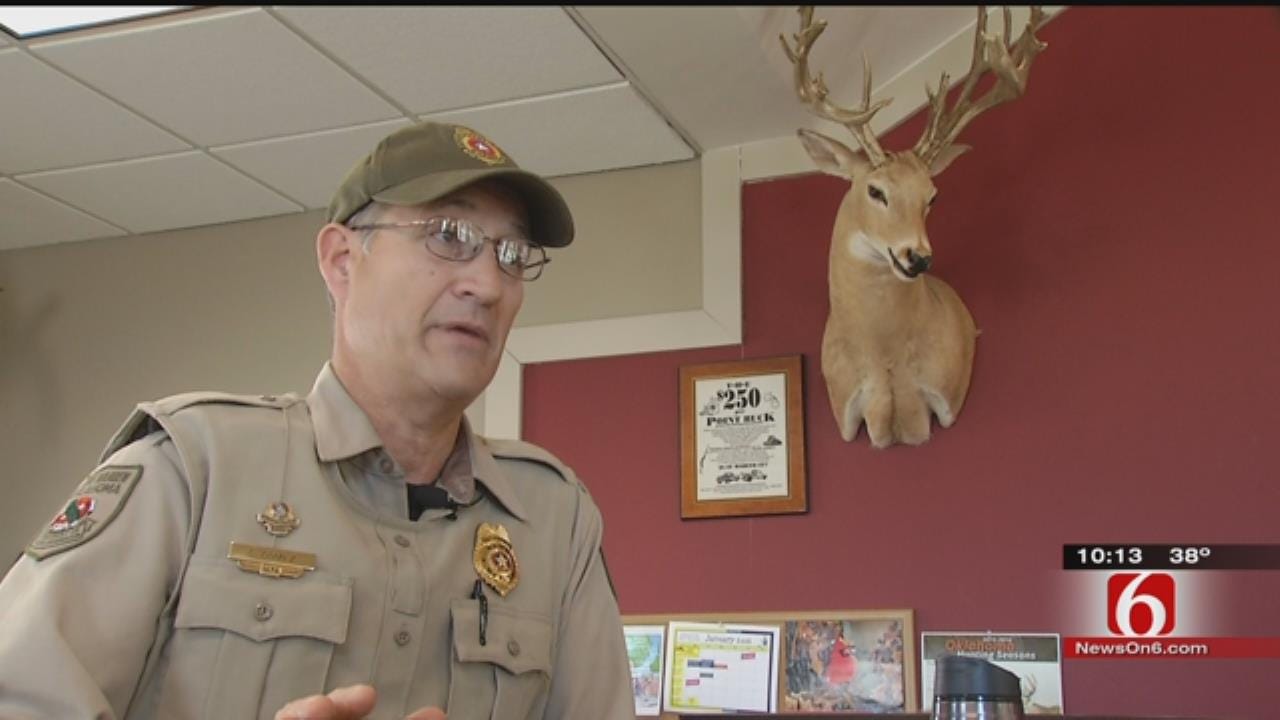 Man Violates Wildlife Laws That Keep Oklahoma Deer Population Thriving