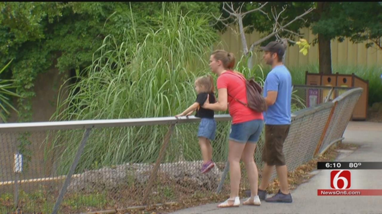 Tulsa Zoo Confident Safety Measures In Place
