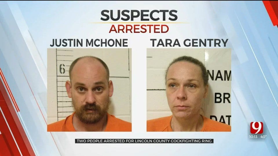 2 Arrested, More Likely After Harrah Cockfighting Ring Bust