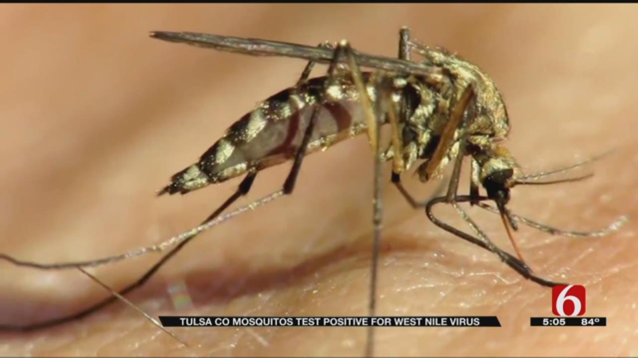 West Nile Virus Found In Tulsa County Mosquitoes