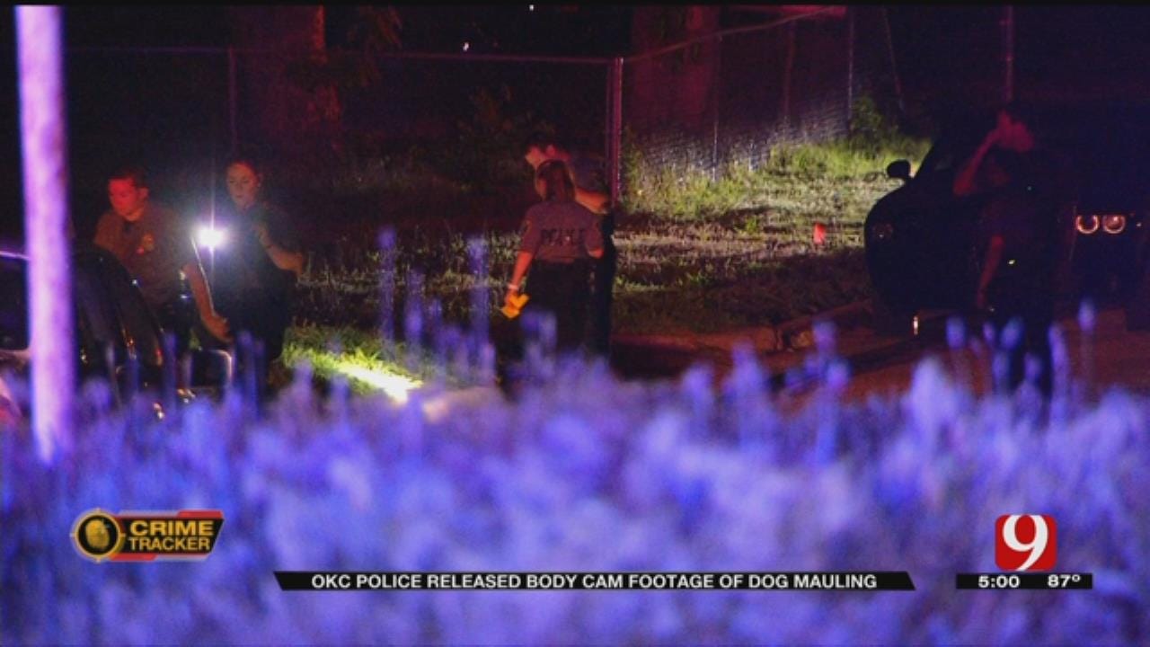 OKC Police Release Body Cam Footage In Vicious Dog Mauling