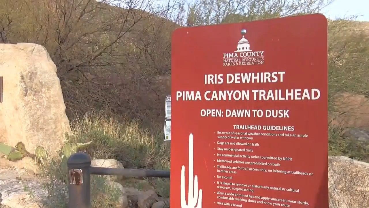 3 Mountain Lions Killed After Shocking Discovery Near Popular Arizona Hiking Trail