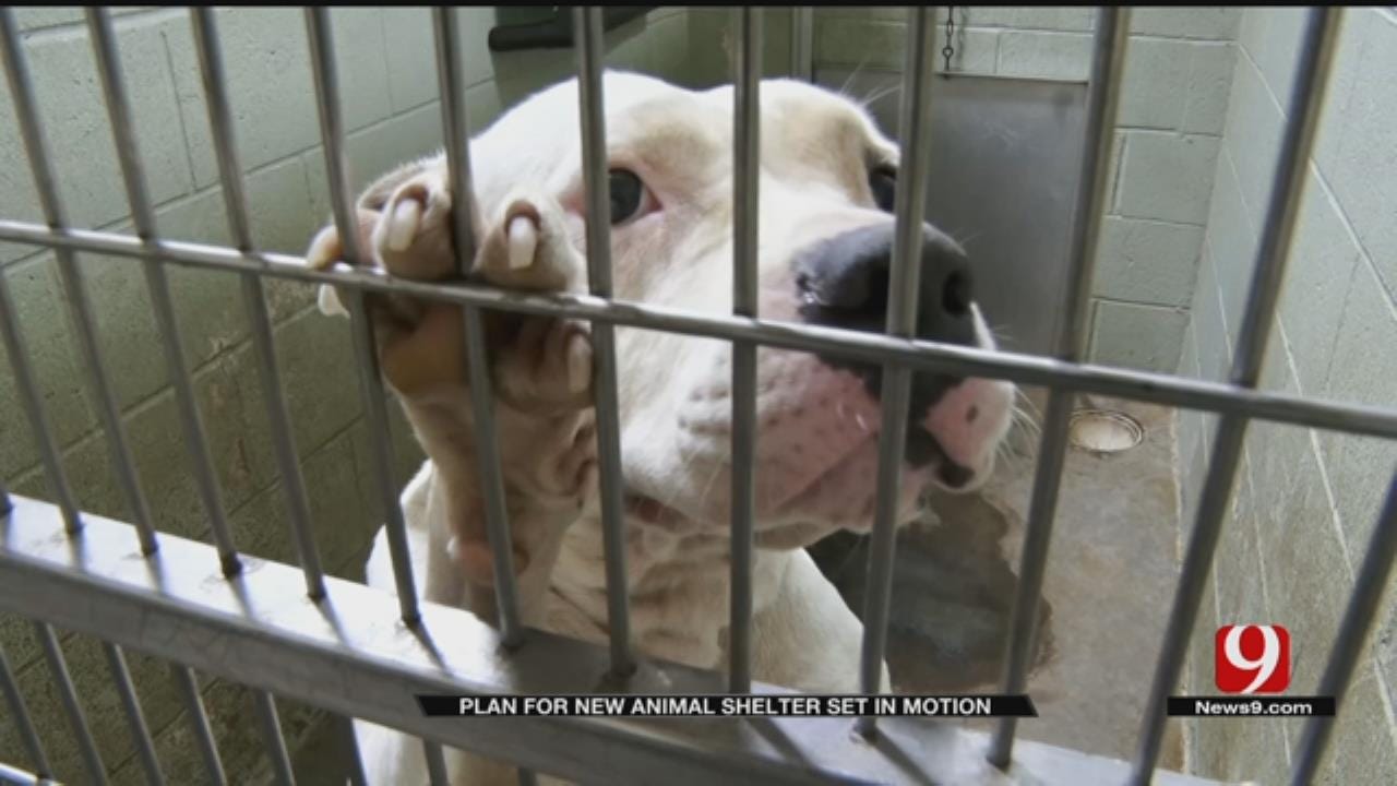 Voters Approve Bond For New Animal Shelter In MWC