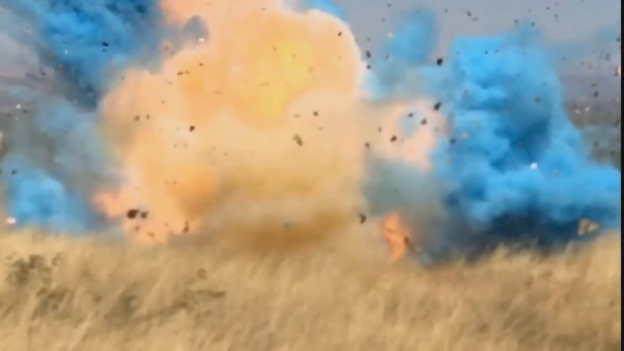 Video Shows How Gender-Reveal Stunt Sparked Wildfire