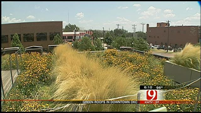 'Green Roof' Symposium Held In Downtown OKC