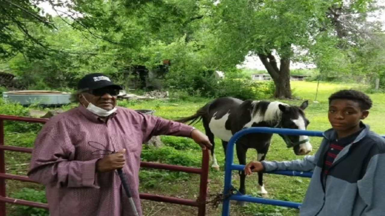 Tulsa Man Needs Help Finding His Blind Father's Stolen Horse