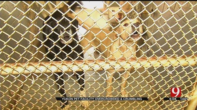 Yukon Animal Shelter Overcrowded, Crumbling
