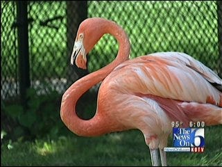 New Management To Take Over At Tulsa Zoo
